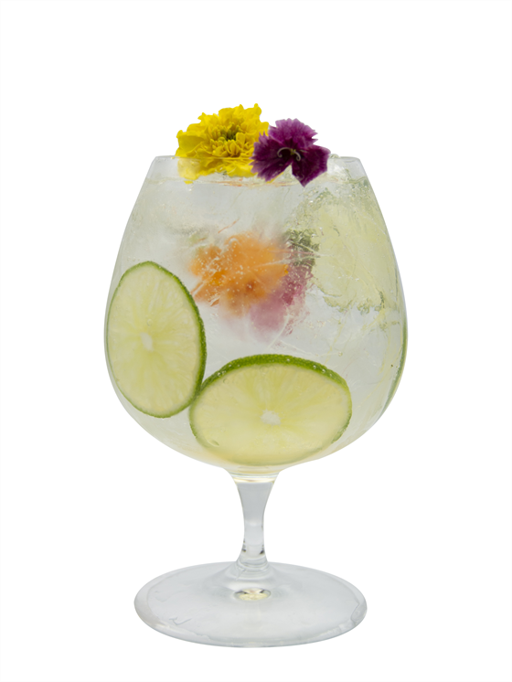 flor de saúco de primavera g & t