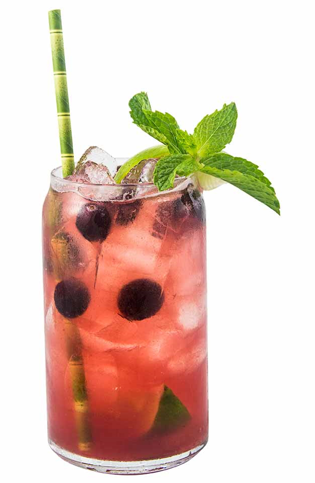 Cranberry Apple Mojito