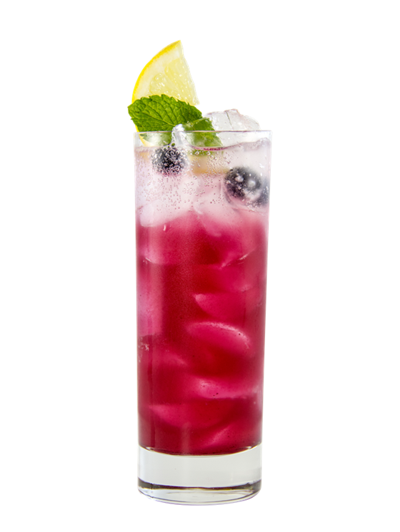 Blueberry Mojito