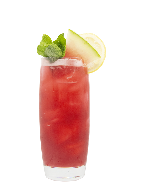 Hibiscus Melon Cooler