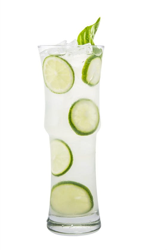 Cucumber Basil Press