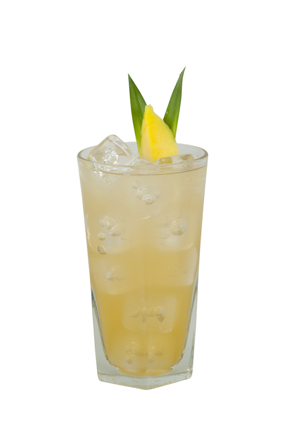 Firebirds Grilled Lemonade