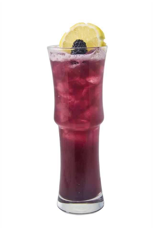 Winter Berry Bramble