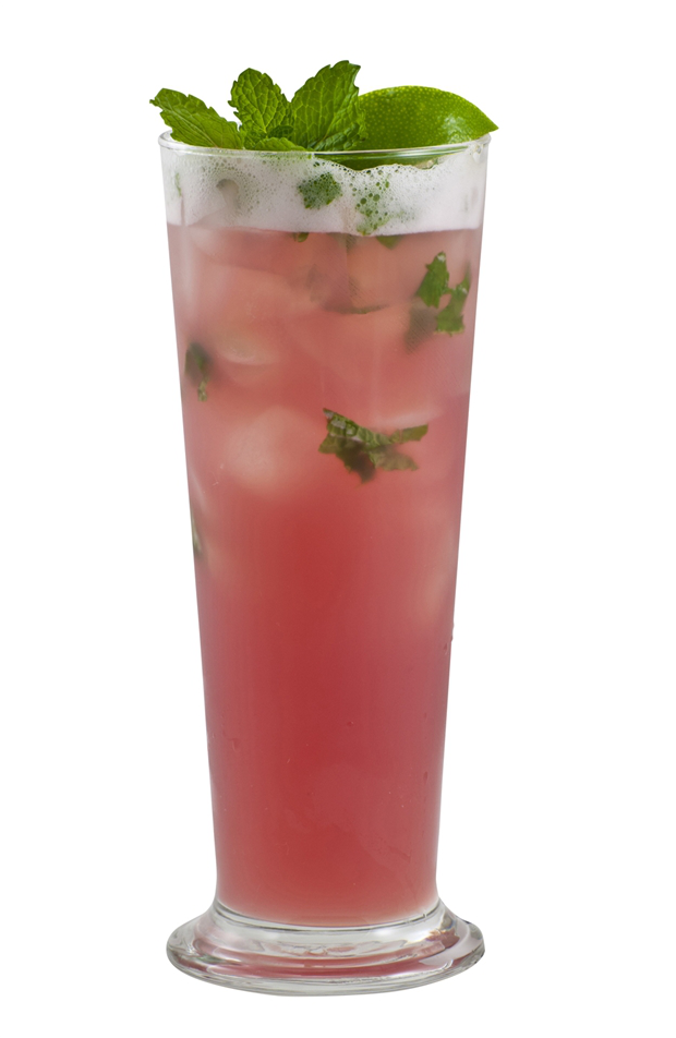 Mojito de ponche frutal