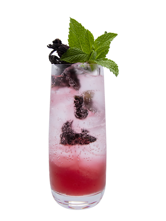 Hibiscus Jalapeno Spritzer