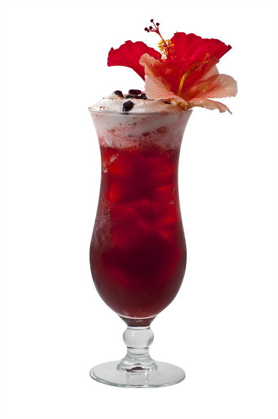 Hibiscus Cooler