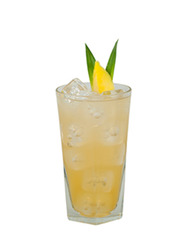 Pineapple Ginger Flip